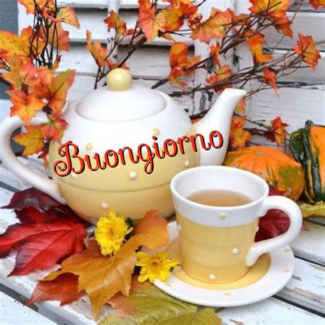 pinterest buongiorno autunnale|900+ idee su Buongiorno autunnale nel 2022 .